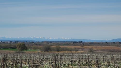 Paysage rural français près d'Argeliers avec les Pyrénées enneigées au loin, vignobles et terres agricoles