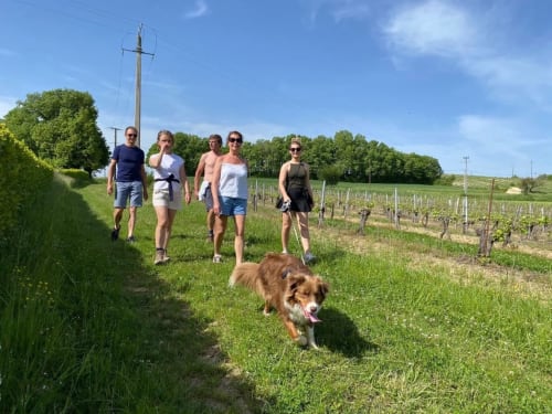 Walking path through the Gaillac vineyards, Tarn