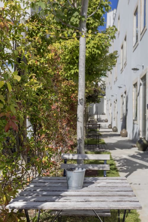 Shaded patio seating area with climbing vines at Benefit Collection hotel in Porto, Portugal