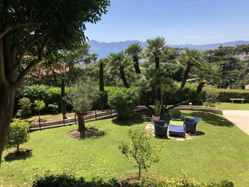 Sunny garden with palm trees, lounge chairs, and mountain views in Cannes property.