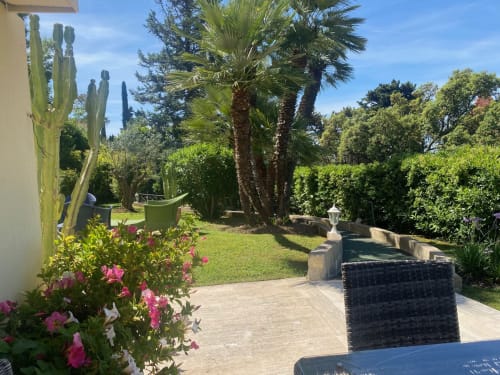 Lush Mediterranean garden at Cannes property with palm trees, pink flowers, and manicured hedges under blue sky