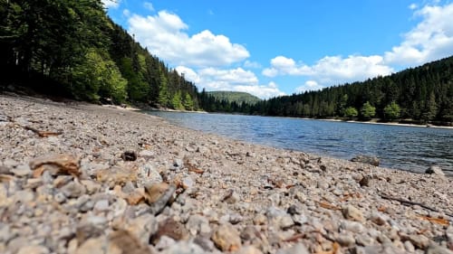 Lac en forêt de Haute-Saône à proximité de la Villa Pré d'Oro - baignade et nature préservée
