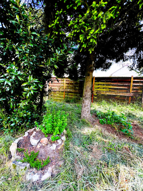Jardin luxuriant du Cottage Accolade à Châteaudun avec arbres matures et clôtures en bois