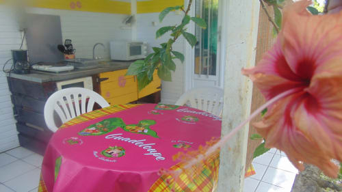 Coin repas de la maison d'hôtes Caribgites à Sainte-Anne avec nappe rose, cuisine jaune, plantes en pot et fleurs d'hibiscus