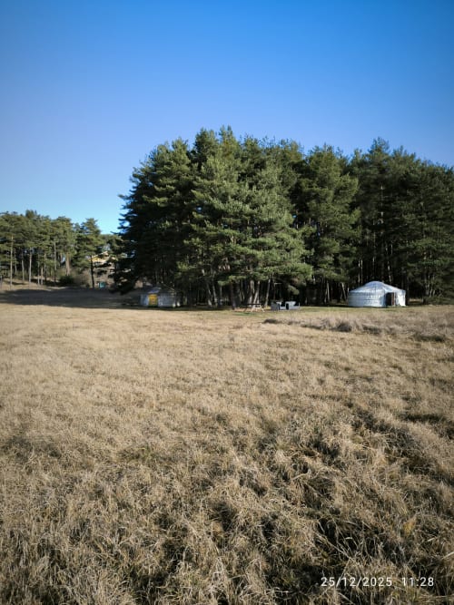 terrain nature foret  prairie campagne calme tranquillité immersion authentique déconnexion  écologique séjour slow tourisme  yourte insolite logement  location alpes maritimes arrière-pays niçois gorges du verdon France