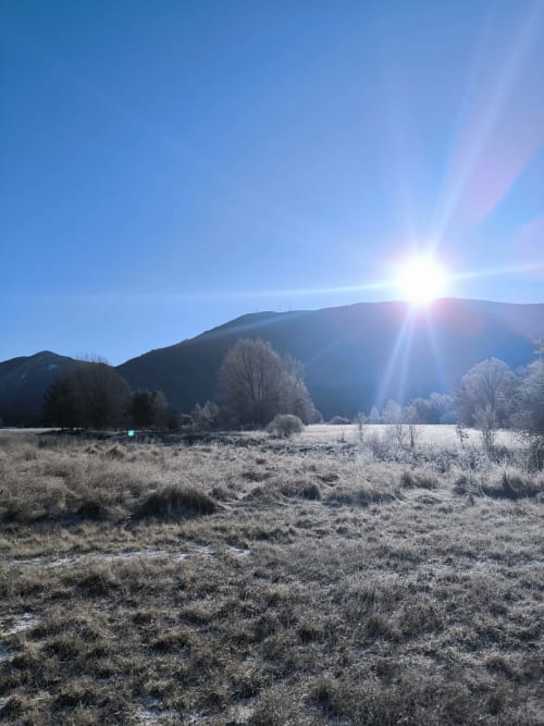 nature prairie foret montagne été hiver soleil liberté calme tranquillité évasion déconnexion aventure randonné vtt vélo espace tourisme écologie retour aux sources cote d'azur var pays niçois gorges du verdon  France