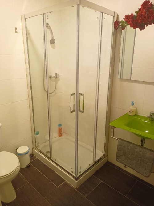 Baño moderno con cabina de ducha de vidrio, lavamanos verde, piso de azulejos oscuros y flores rojas en apartamento Gestyp-AT en Mérida
