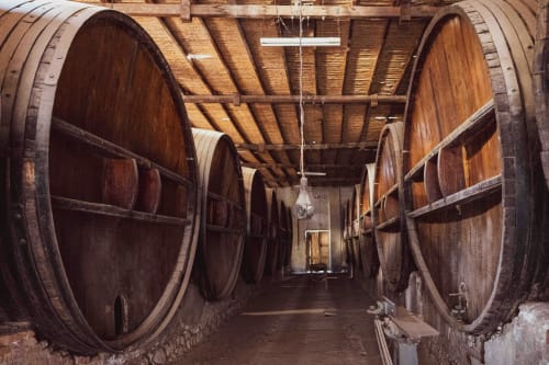 Celler de vi amb grans bótes de fusta a Masia Can Canyes, Sant Llorenç d'Hortóns