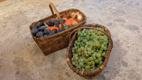 Production du jardin : figues, raisins, oignons, potimarrons...