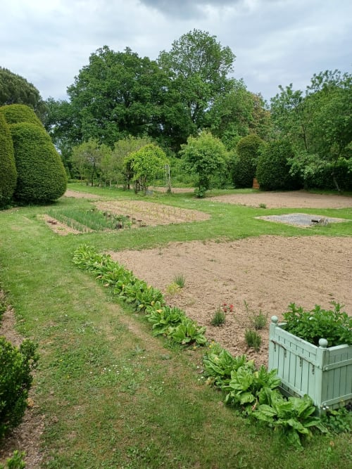 Le potager au printemps