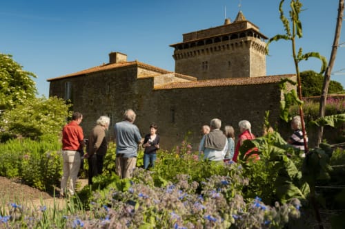 Jardin et donjon médiévaux de Bazoges en Pareds
Photo Vendée Expansion