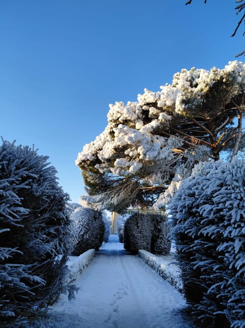 L'allée principale du jardin sous la neige 12/2025