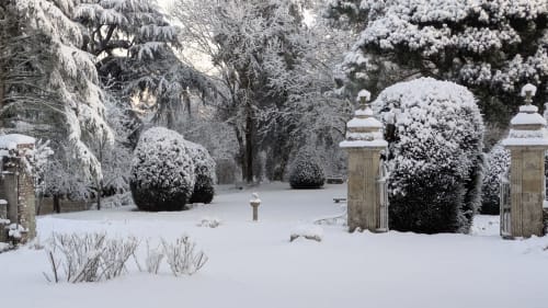 Le jardin sous la neige