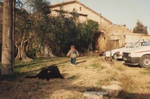 Patio rural de la masía Can Gat Vell con construcciones de piedra, coches aparcados y terrenos descuidados en Girona, Cataluña
