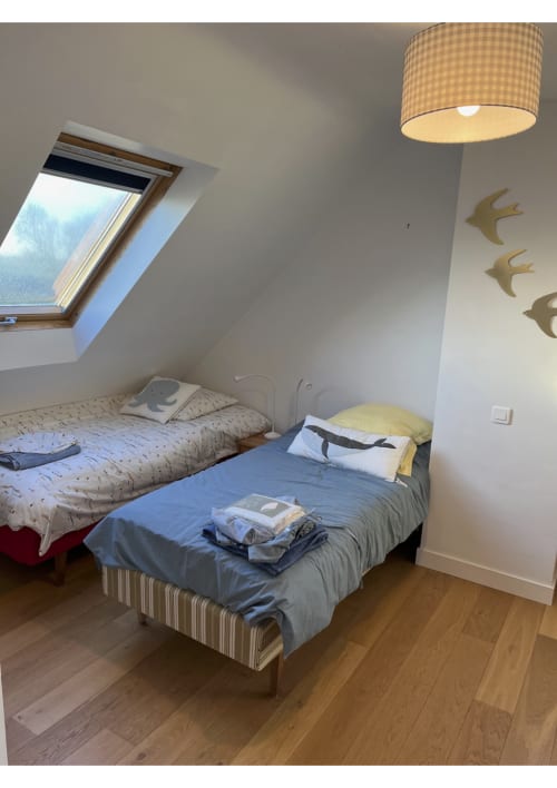 Chambre lumineuse sous les toits avec deux lits, fenêtre de toit, parquet et décoration murale d'oiseaux au gîte de Locmaria