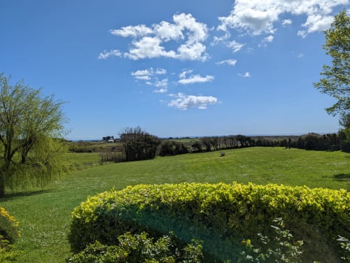Champs verdoyants et arbuste aux fleurs jaunes au gîte de Locmaria, Belle-Île-en-Mer, ciel bleu et nuages
