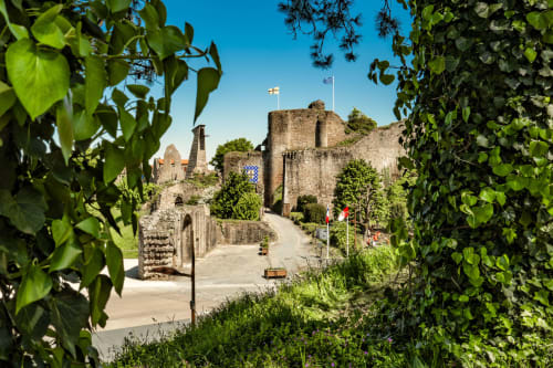 Le château de Tiffauges
Photo Vendée Expansion