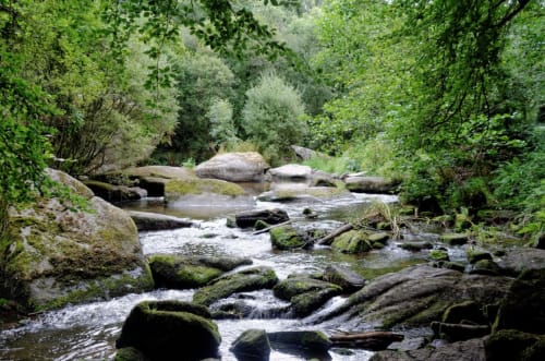 Rivière traversant la forêt au Chaos du Gouët, Bretagne