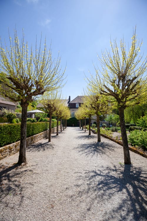 Grindplein omzoomd door bomen bij hotel Moulin Renaudiots in Autun, Frankrijk, met stenen gebouwen en verzorgde tuinen