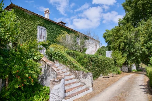 Ivy-covered historic building with terracotta steps at Quinta da Alcaidaria-Mór, a charming bed and breakfast near Fátima,