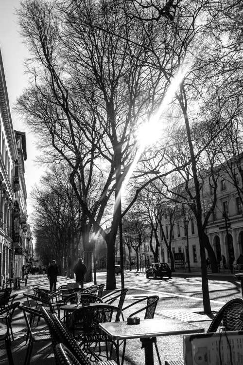 Outdoor café terrace with bare trees in Montfrin, France near Le Prieuré Notre-Dame