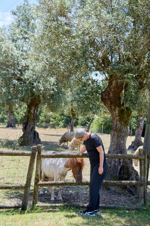 Hóspede interagindo com cabra na quinta rural Alcaidaria-Mór em Ourém, Portugal