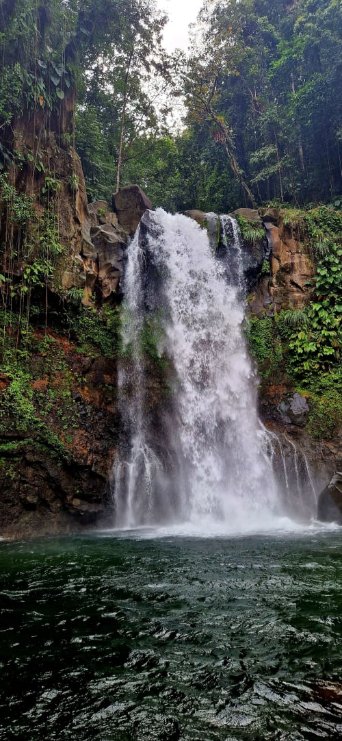 Majestueuse cascade se déversant dans un bassin d'émeraude, entourée par la canopée luxuriante de la forêt tropicale près du Nid De Bellemont