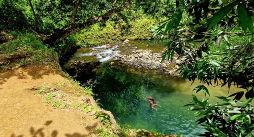 Ruisseau cristallin avec baigneur en forêt tropicale luxuriante au Nid De Bellemont, Trois-Rivières, Guadeloupe