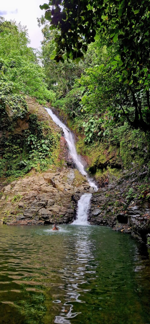Cascade se déversant dans un bassin d'eau émeraude entouré de végétation luxuriante à Le Nid De Bellemont, Trois-Rivières, Guadeloupe