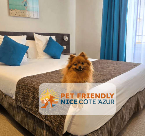Pequeño perro esponjoso sentado en la cama del Hôtel De La Fontaine en Niza con almohadas azules y decoración costera