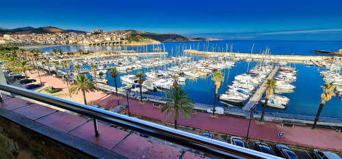 Marina de Banyuls-sur-Mer avec voiliers, palmiers et bâtiments côtiers sous un ciel bleu