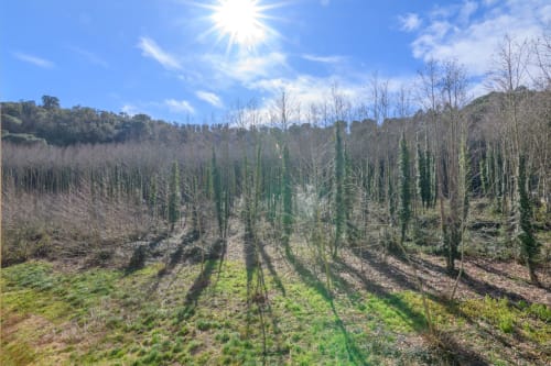 Scenic valley view of Rural Montseny with evergreen trees and deciduous forest in winter, Gualba