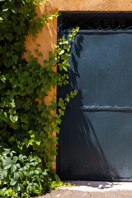 Black door with ornate ironwork at Finca Navalpino, surrounded by climbing ivy and green plants in Guadamur, Spain