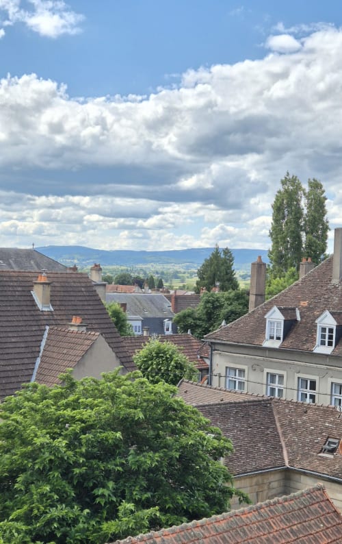 Stadsaanzicht vanuit appartement Maison Lùisa in hotel Moulin Renaudiots in Autun, Frankrijk, uitkijkend over historische daken en