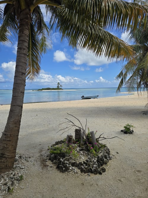 Tropical beach at Tikehau with palm trees, turquoise lagoon, and small island view
