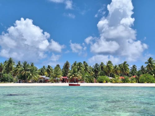 Tropical beach at Tikehau Herearii with palm trees, white sand, turquoise water, and moored boat under blue sky