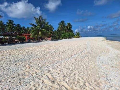 Pristine white sand beach with palm trees and red-roofed bungalow at Tikehau Herearii in French Polynesia