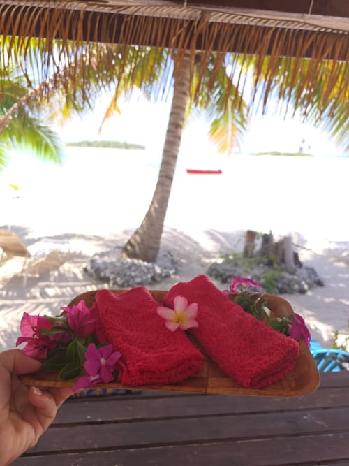 Red towels with tropical flowers on wooden tray at beachfront cottage Tikehau with palm tree and ocean view