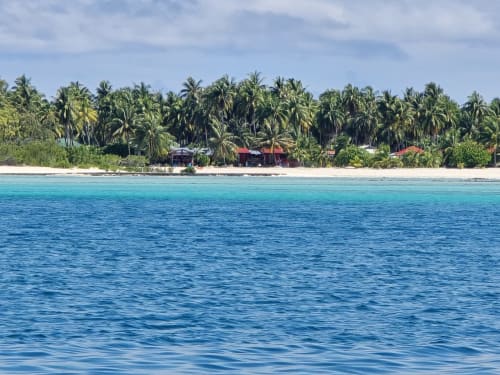 Tikehau Herearii beachfront cottage with turquoise lagoon, white sand, and palm trees in Tuherahera, French Polynesia