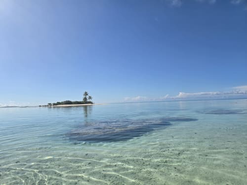 Crystal-clear tropical waters and sandy beach with palm-fringed island at Tikehau Herearii, French Polynesia