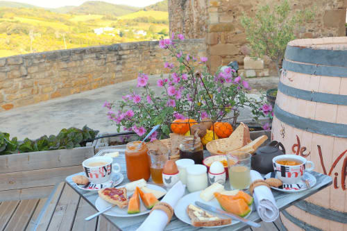 Breakfast spread at Au Château De Villelongue with pastries, fresh fruit, and countryside views, Villelongue-d'Aude
