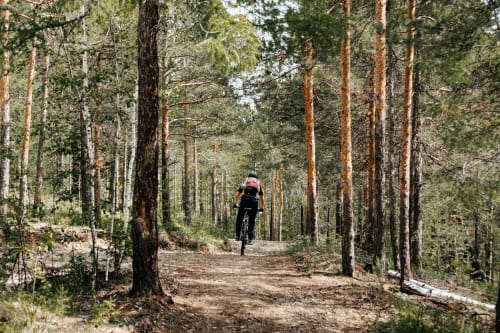 Mountain biker on forest trail at Kmetija Pečnik near Prevalje, Slovenia