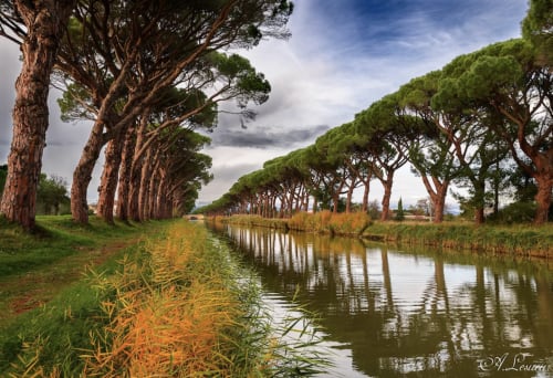 Canal arbolado cerca del Château de Villelongue, Villelongue-d'Aude, con agua reflectante y campiña verde
