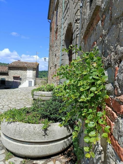 Cortile in pietra della Torre Della Chiocciola a Monteriggioni con muri ricoperti di edera e vasi in terracotta con vista sulla Toscana