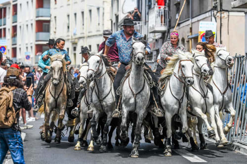 Colorful street parade with riders on white horses in Montfrin, France near Le Prieuré Notre-Dame