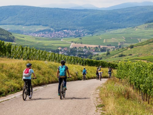 Cyclisme en groupe à travers les vignobles alsaciens avec vue sur la vallée villageoise près de Cernay