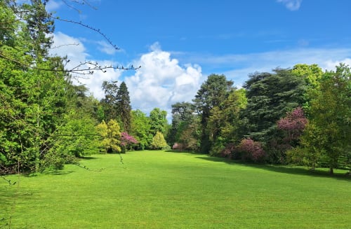 Parc nord