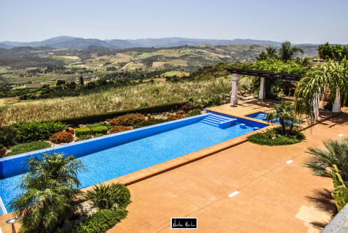 Blue lap pool overlooking rolling hills and vineyards in Rioja, Spain with terracotta deck and palm trees