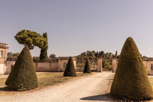 Formal French gardens with cone-shaped topiaries at Le Prieuré Notre-Dame, Montfrin