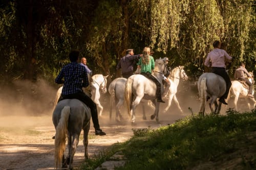 Group horseback riding through dusty tree-lined path at Le Prieuré Notre-Dame, Montfrin